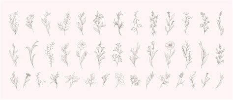 1,329,400+ Terrestrial Plants Stock Illustrations, Royalty.